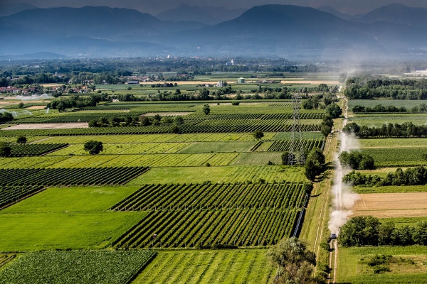 Al via la Coppa del Mondo FIA Cross Country Rally